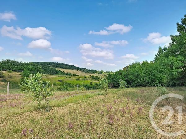 Maison à vendre  11 pièces - 253 m 2   LAVAUR  - 81