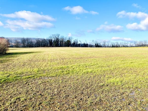 Appartement T4 traversant de 85 m² – Environnement calme et emplacement stratégique à Annecy (74940)