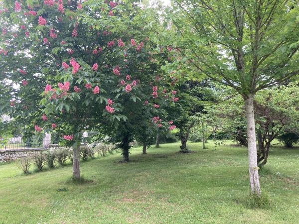 Château Classé de 1840 avec Dépendance et Installations Équestres sur 5,11 ha