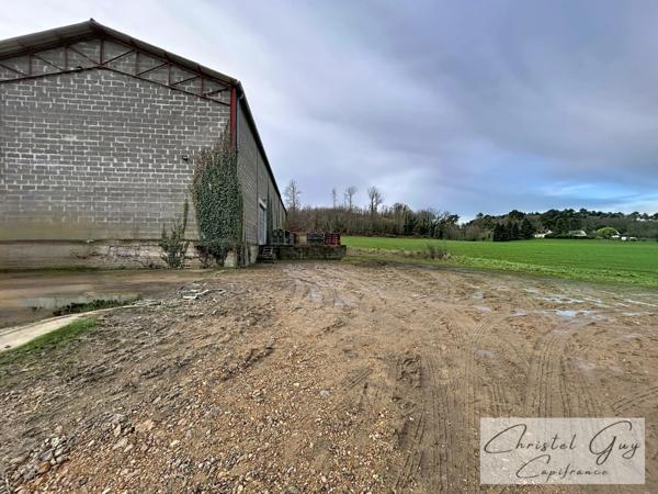 A vendre Vaas (72500), 10 minutes de Montval sur Loir – En campagne, ensemble immobilier avec maison d’habitation et vaste entrepôt