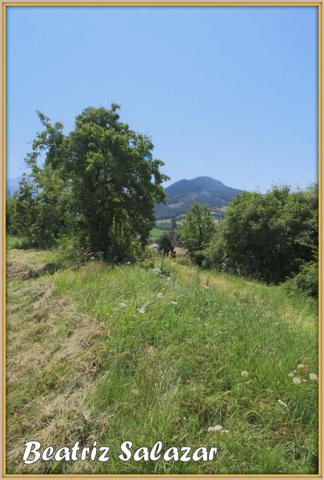 A Seyne-les-Alpes appartement T2, 31 m² avec terrasse, jardin et grand atelier dans un environnement très calme.
