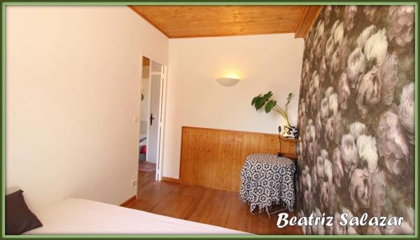 A Seyne-les-Alpes appartement T2, 31 m² avec terrasse, jardin et grand atelier dans un environnement très calme.