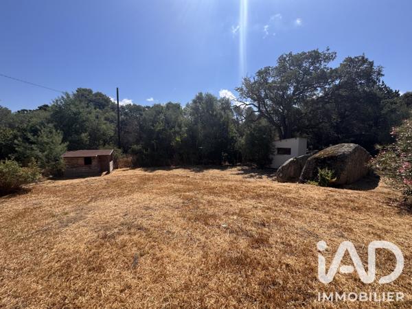 Maison à vendre 3 pièces 56 m² Porto-Vecchio
