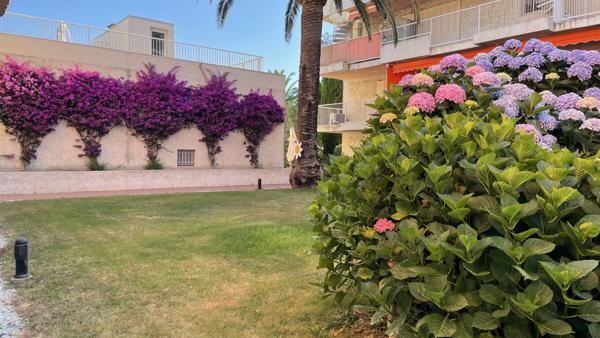 Saint-Tropez (83990) SAINT-TROPEZ Duplex avec solarium