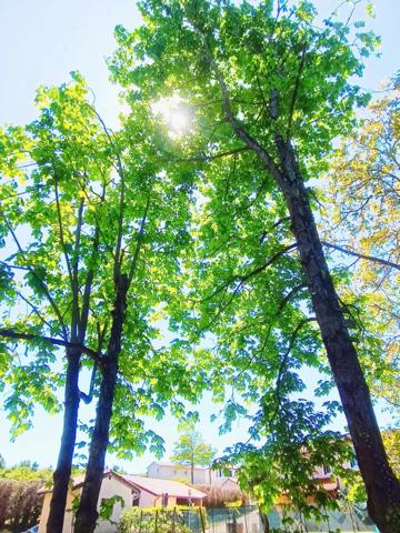 Maison à vendre 8 pièces proche de PONT DE VAUX (01)