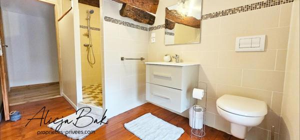 Maison Villespy 12 pièce(s) 255 m2