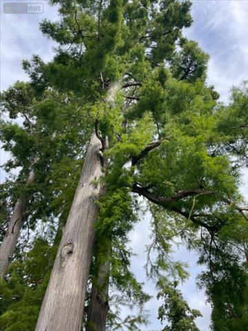 Maison à vendre à Nantes en Loire-Atlantique (44300), ref : 44007-1087669