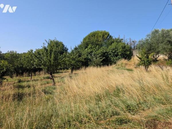 TERRAIN MONTOISON 