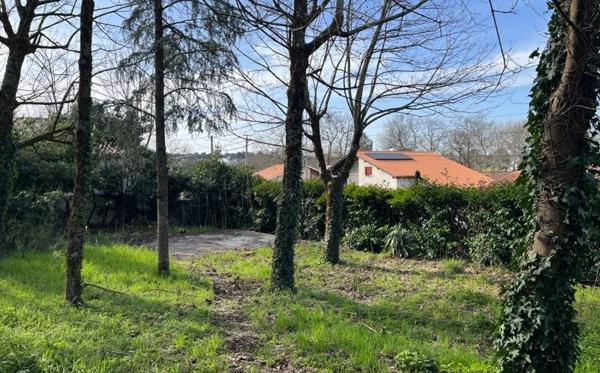 Terrain à vendre 168 950 € Villenave-d'Ornon 590 m² DPE