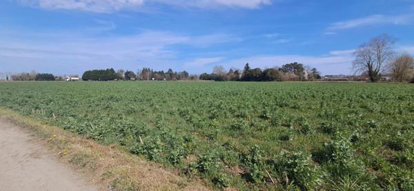 Terrain à vendre 9069 m2