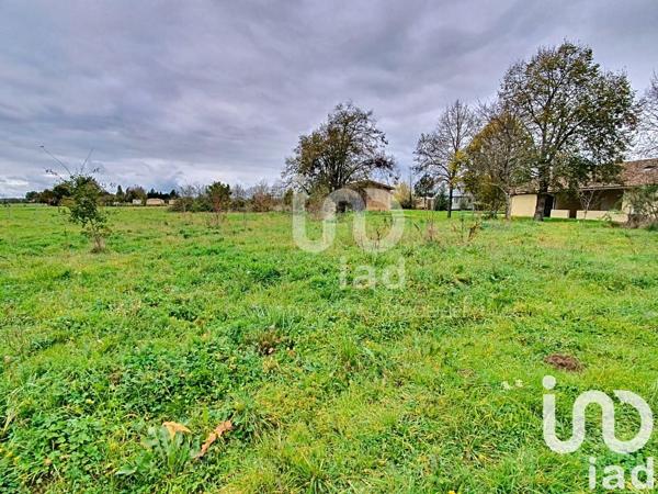 Maison à vendre 5 pièces 140 m² Nègrepelisse