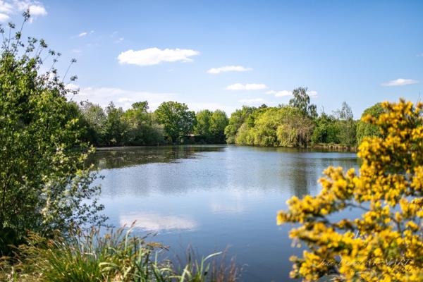 Maison à Rennes, 35000 - 7 pièces 245m²