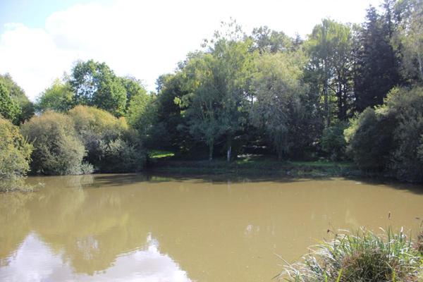 Maison avec 2 étangs de pêches  et de reproduction (aux normes) dans une propriété  fermée, idéale gîte