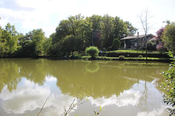 Maison avec 2 étangs de pêches  et de reproduction (aux normes) dans une propriété  fermée, idéale gîte