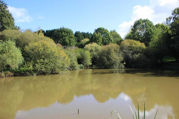 Maison avec 2 étangs de pêches  et de reproduction (aux normes) dans une propriété  fermée, idéale gîte