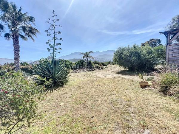 Vente Villa 5 pièces 165 m2 à Calvi