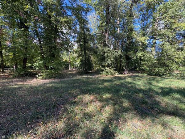 Grand terrain dans le domaine du lys