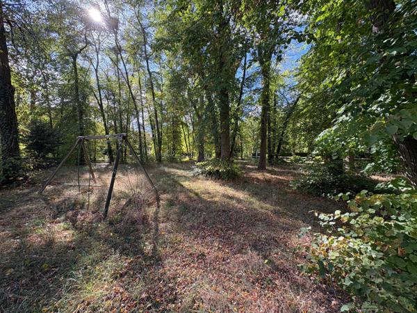 Grand terrain dans le domaine du lys
