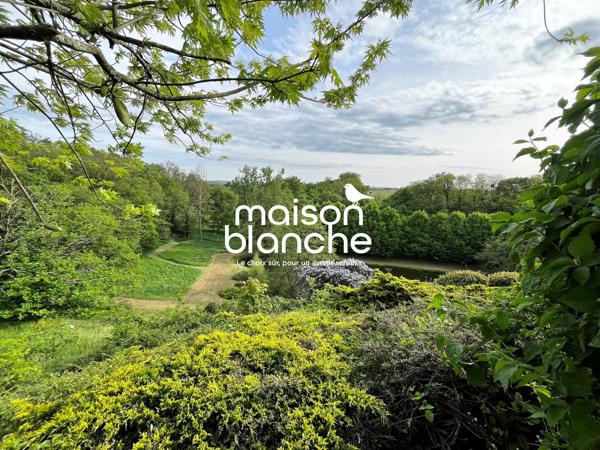Savennières propriété sur 2 hectares avec étang.