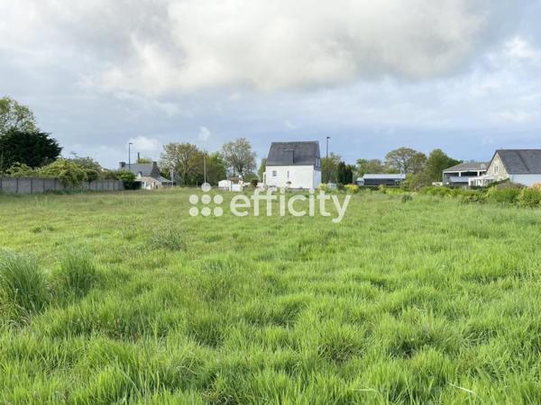 Terrain - 801 m²