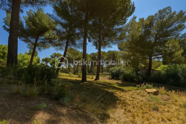 Terrain de 1 649 m²