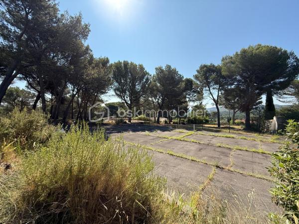 Terrain de 1 649 m²