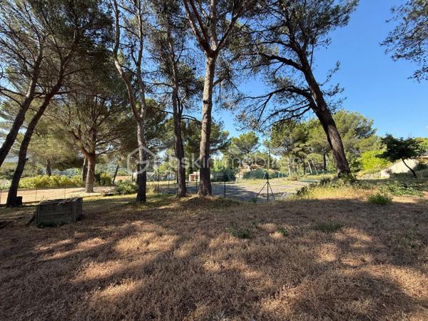 Terrain de 1 649 m²