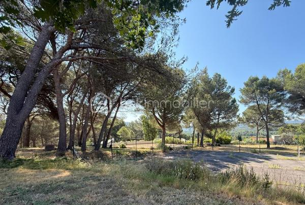 Terrain de 1 649 m²