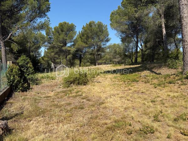 Terrain de 1 649 m²