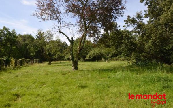 Terrain à vendre    Camblanes-et-Meynac