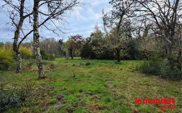 Terrain à vendre    Camblanes-et-Meynac