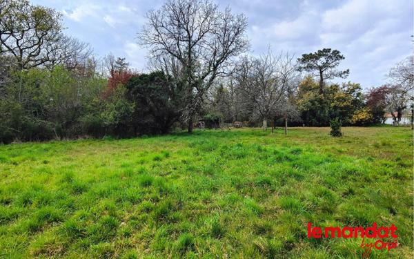 Terrain à vendre    Camblanes-et-Meynac