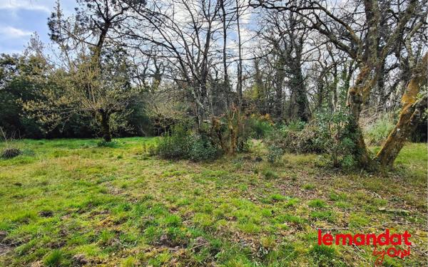 Terrain à vendre    Camblanes-et-Meynac