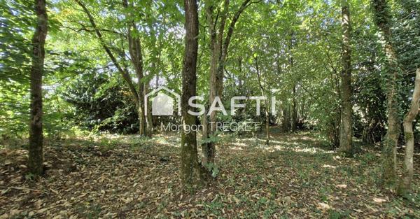 Terrain non constructible Nozay 1690 m²