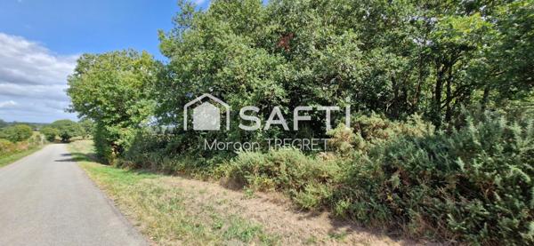 Terrain non constructible Nozay 1690 m²