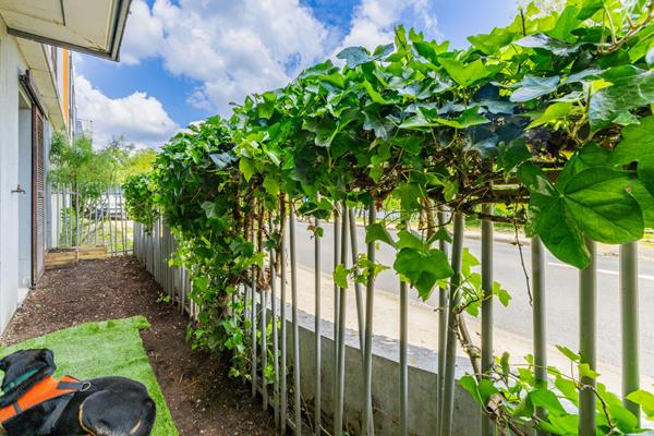 APPARTEMENT TYPE 3 BEGLES