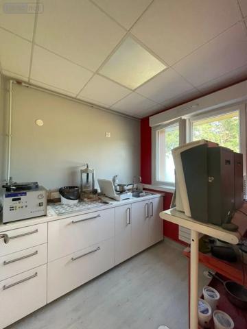 Achat - Fonds et/ou murs commerciaux | Local industriel Nogent-le-Rotrou 28400 2094 m 2