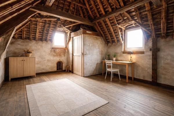 Centre ville MAYENNE