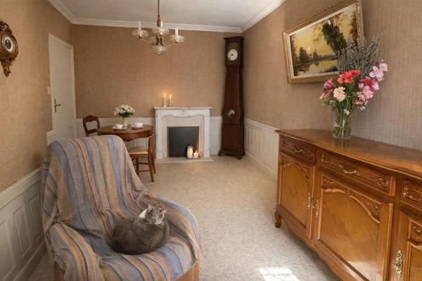 Centre ville MAYENNE