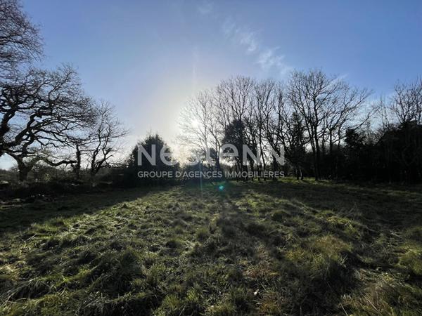 Terrain a vendre a Sarzeau - Proximite plage