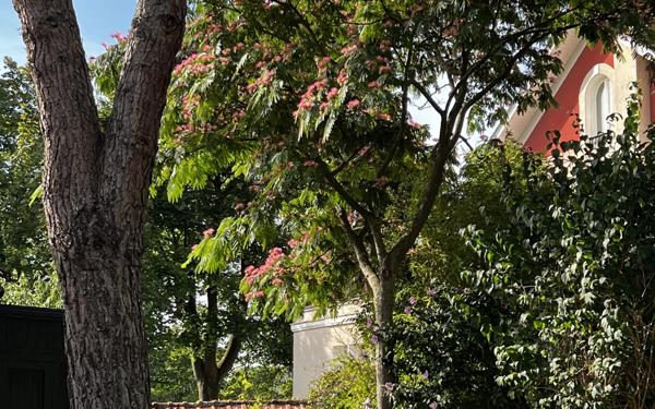 Maison à vendre    5 pièces • 150 m2 Champigny-sur-Marne