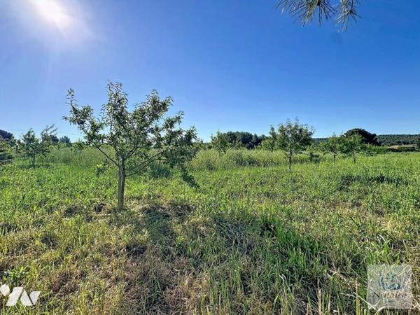 Maison de 180 m² avec terrain