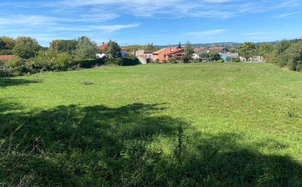 Terrain à vendre |  Graulhet |  4017 m²