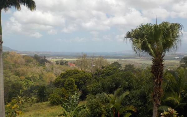 Maison à louer    5 pièces •  Rivière-Salée