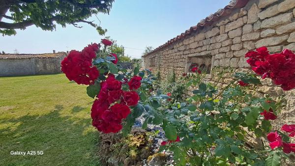 Belle maison    5 pièce(s) 137 m2 et terrain plat de 1700 m2