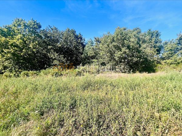 Vente Maison120 m² - 5 Pièces - MONTBARTIER (82700)