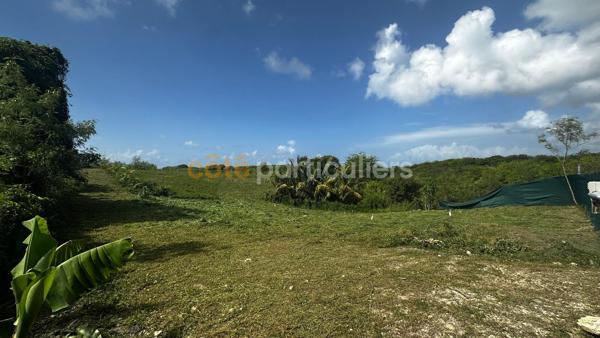Vente
                Terrain779 m² - SAINTE ANNE (97180)