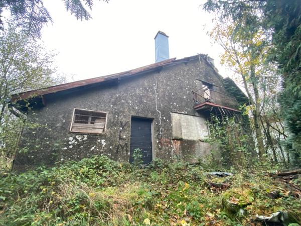 Terrain à vendre de 60 ares (dont 11 ares constructibles) sur la commune de Villers-la-Montagne