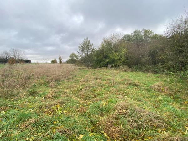 Terrain à vendre de 60 ares (dont 11 ares constructibles) sur la commune de Villers-la-Montagne