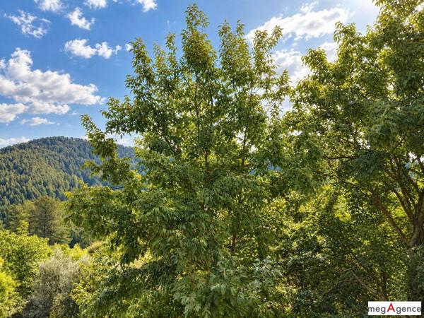 Maison à LE COLLET-DE-DEZE, 48160 - 4 pièces 82m²